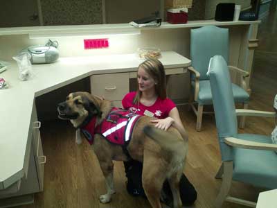 service dogs for vets with ptsd